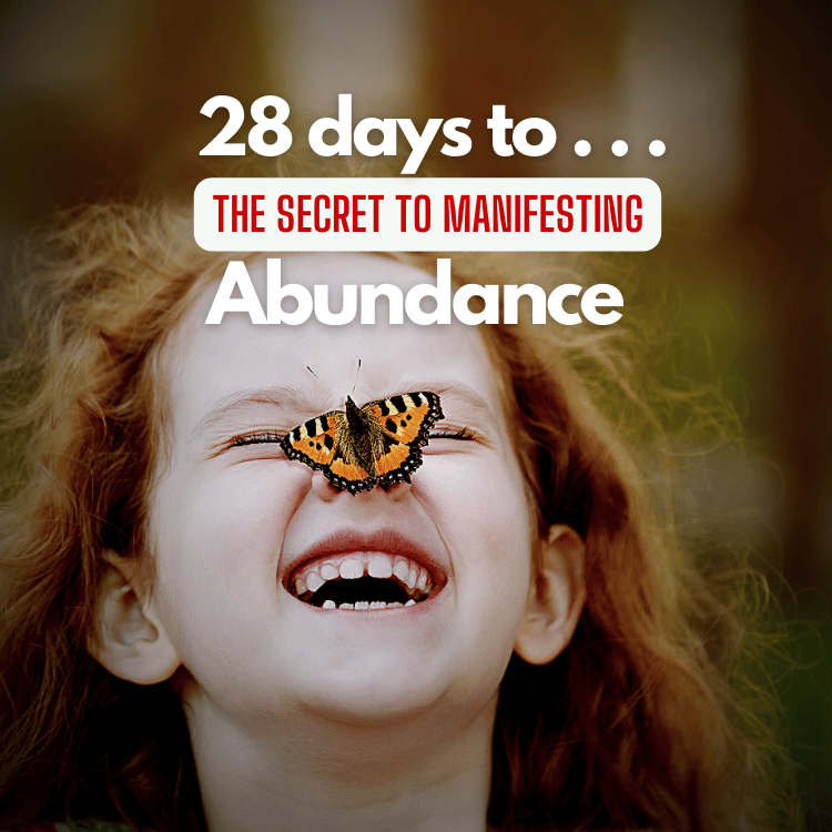 28 Day to abundance course