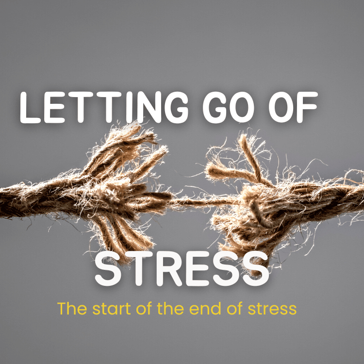 Let go of stress course