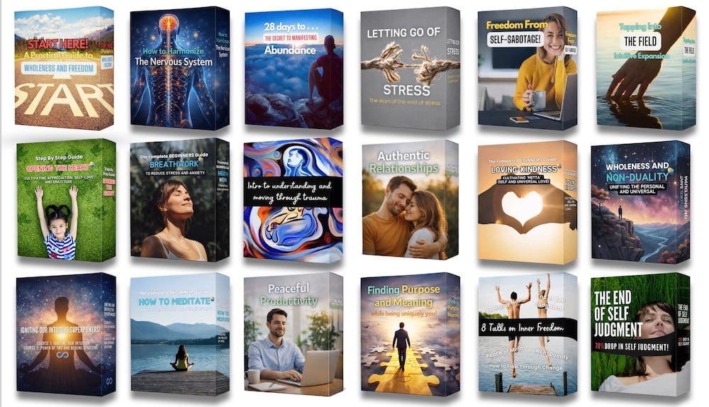 Overview of Wholality course content covering nervous system safety and embodied awareness