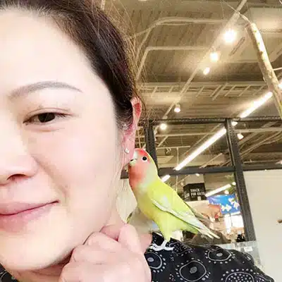 Michele describing a sense of profound peace through Wholality